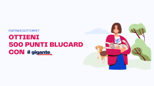 Dottorpet x IlGigante