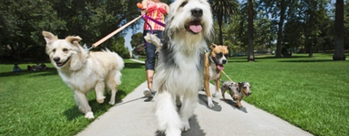 04_14_friendly02-480x255-1