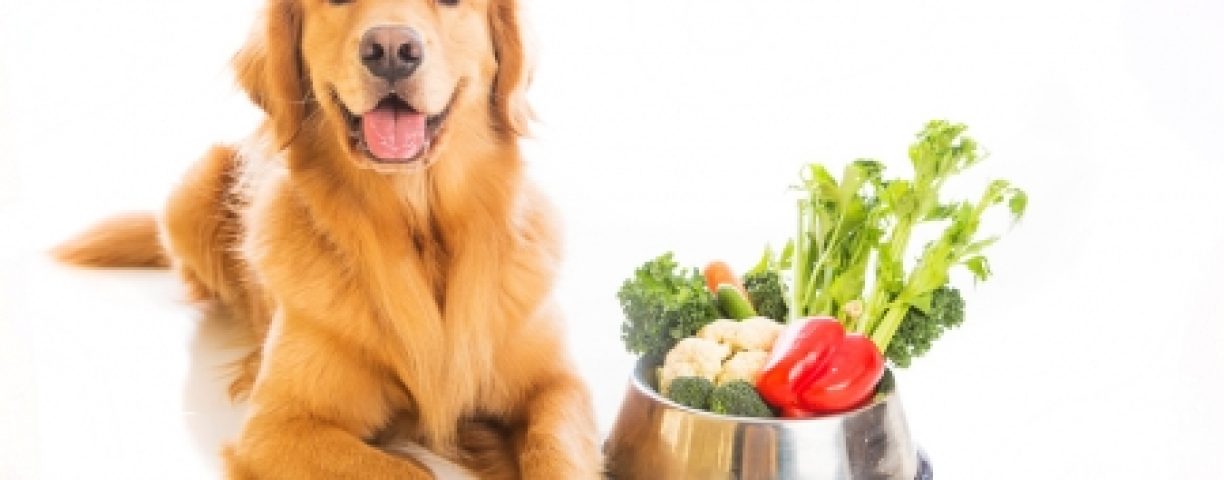 04_28_vegan01-450x300-1