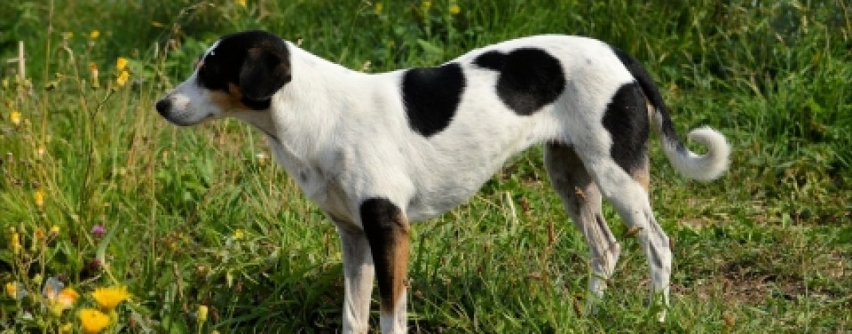 05_26_piante02-480x319-1