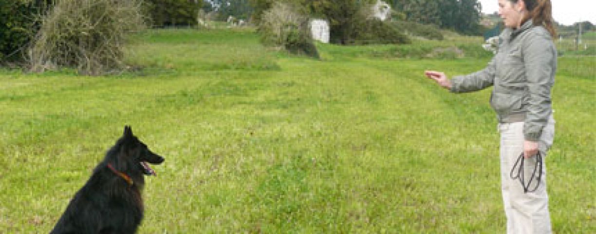 06_09_educazione02