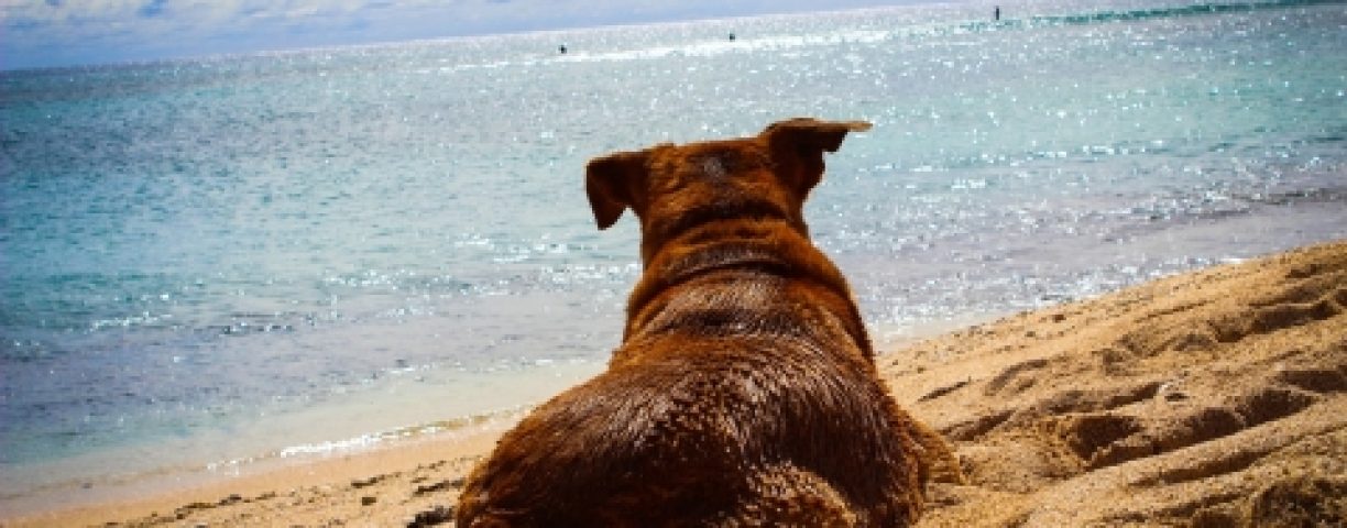 06_29_spiaggia02-480x320-1