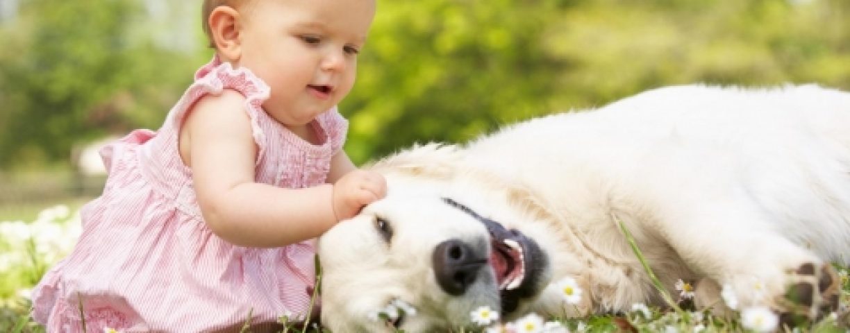 bambino-e-cane-534x300-1