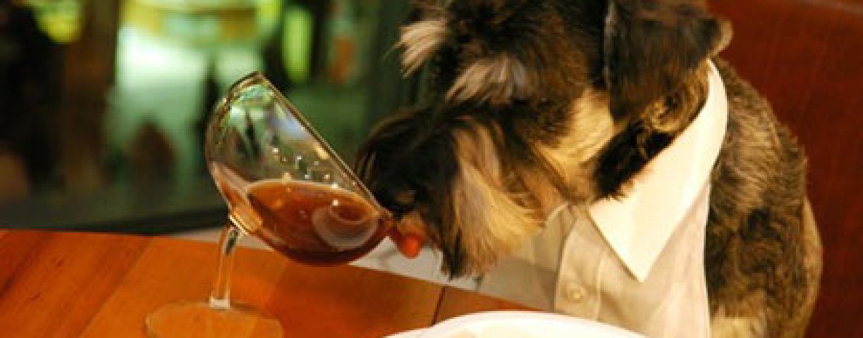 cane-tavola