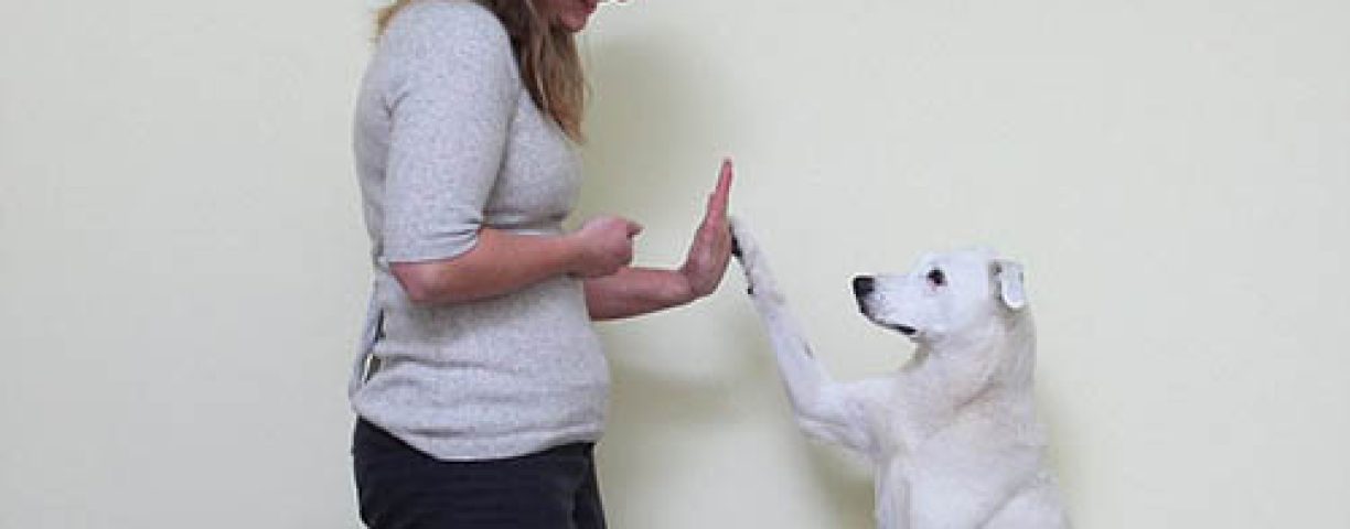 cane_makaton