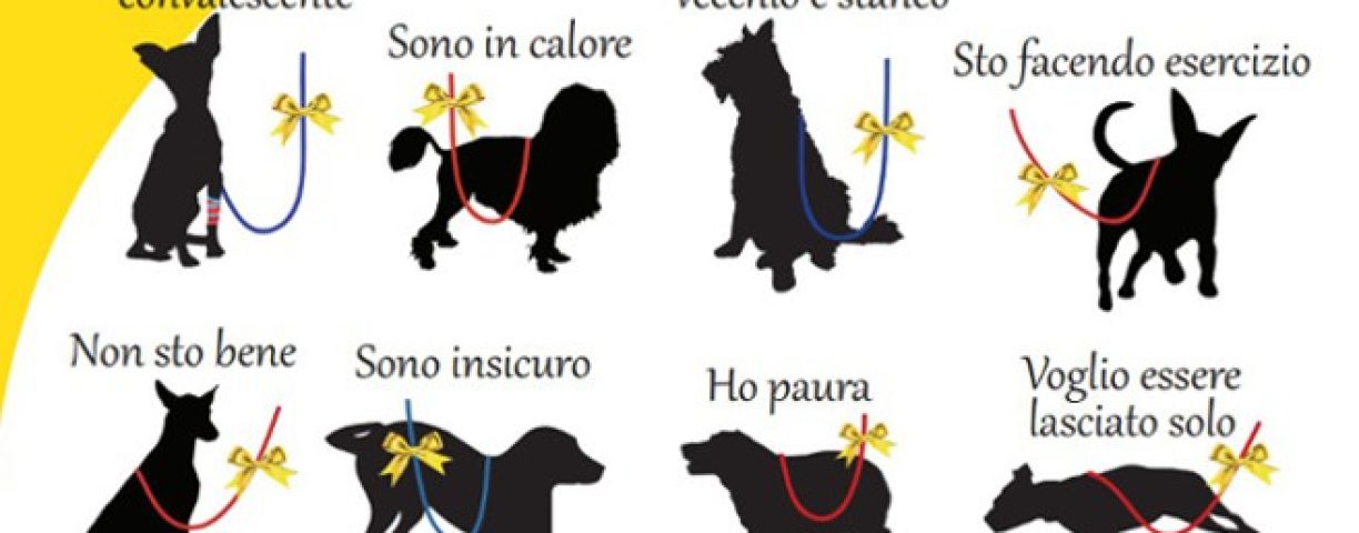 codice-cani-nastrino-giallo