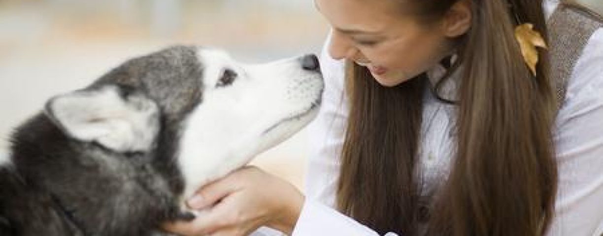 come-capire-il-linguaggio-del-cane_956e4a52f62c0e443111d2c3864eb0ad