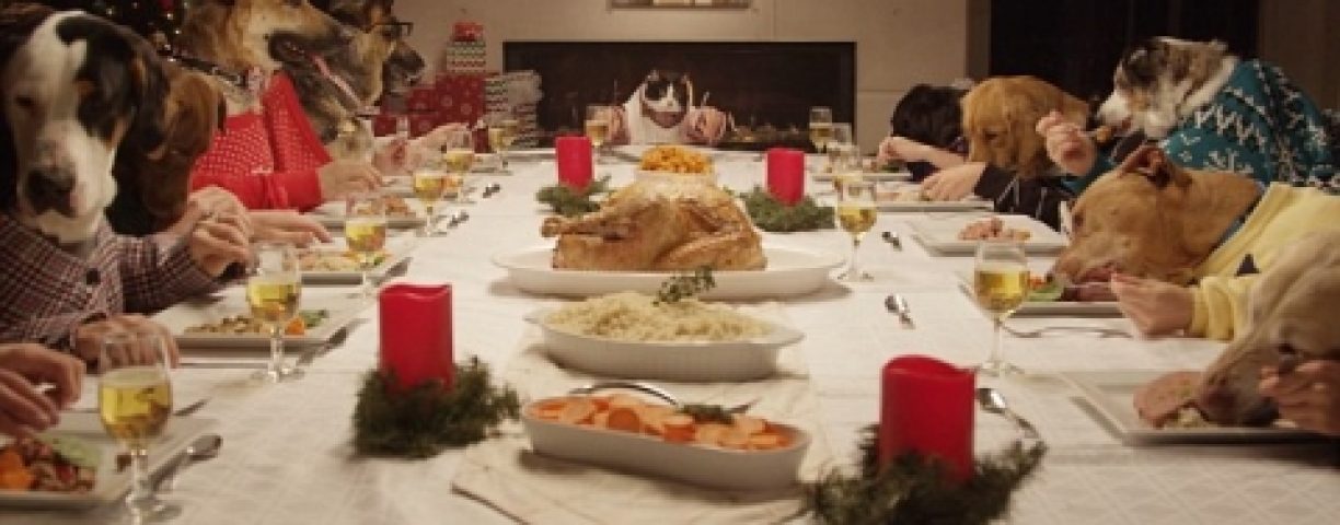dog-christmas1-480x270-1