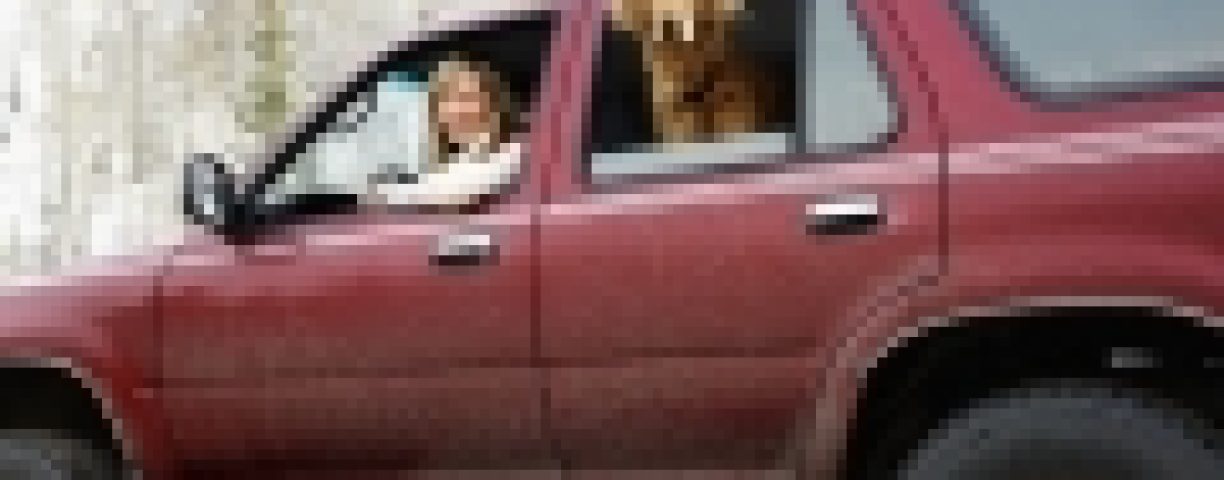 dog_suv-120x90-1