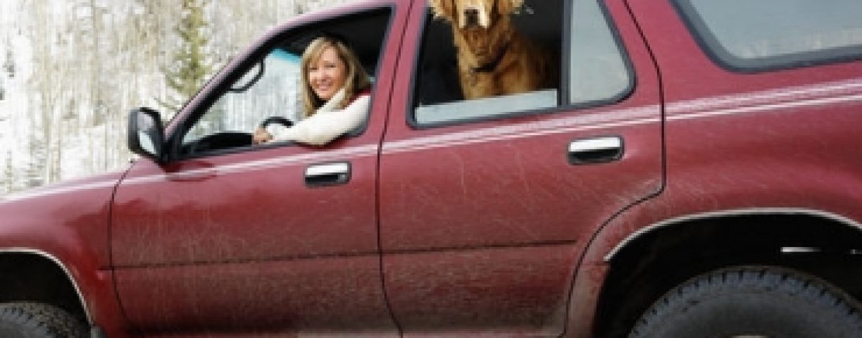 dog_suv-370x300-1
