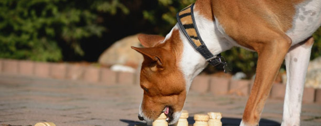giochi-attivazione-mentale