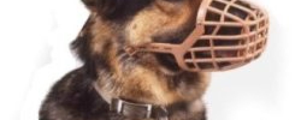 museruola_blog-255x300-1