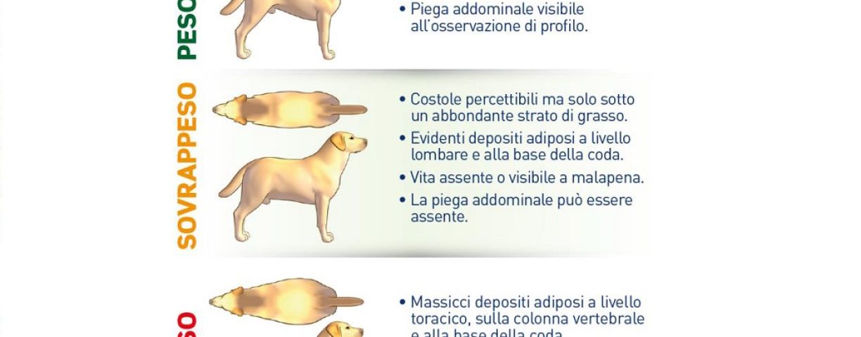 tabella-peso-cane
